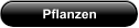 Pflanzen