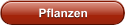Pflanzen