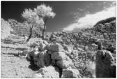 auf Kreta