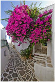 in Lefkes (Paros)