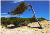 Naturschutzgebiet in Ibiza